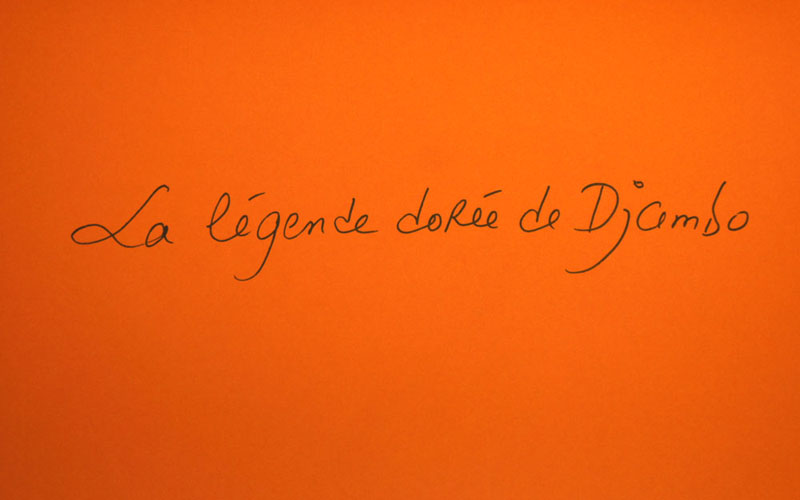 La Forêt des 29 - La legende doree de Djambo - Photo 1